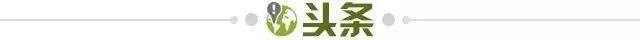1730819742841040568.jpg 头条.jpg